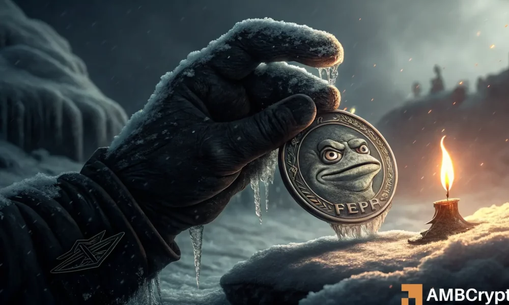 PEPE市场前景 - 能否摆脱Memecoin部门的崩溃?