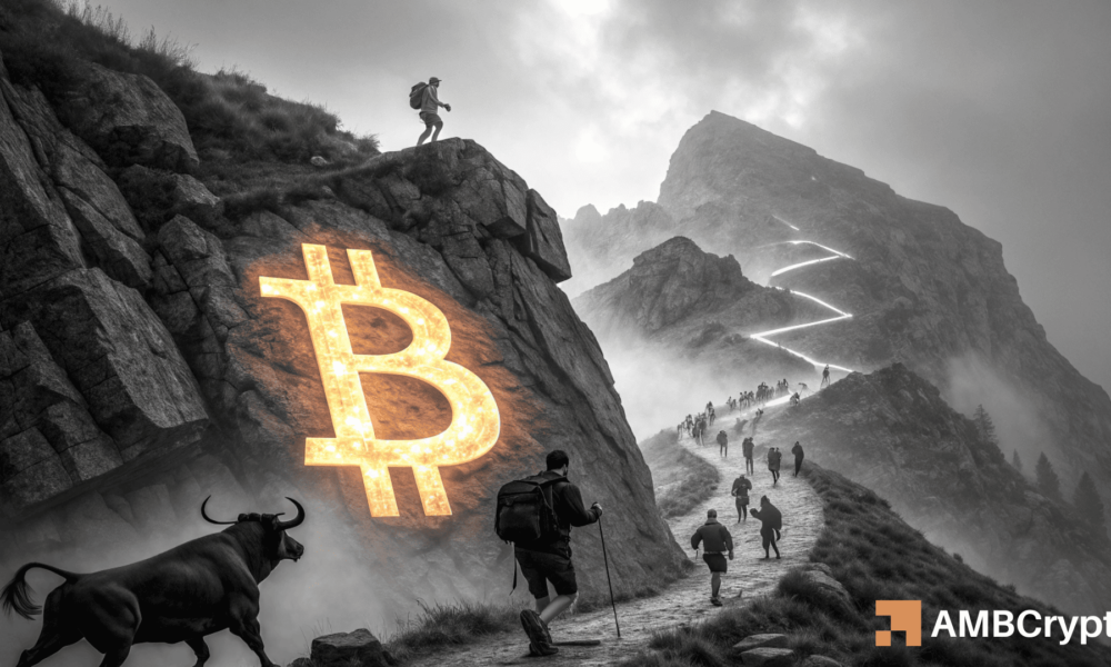 Bitcoin: Despite a 10% Drop in Retail Prices, Whales May Drive BTC to 1,000 - How Can They Achieve This?