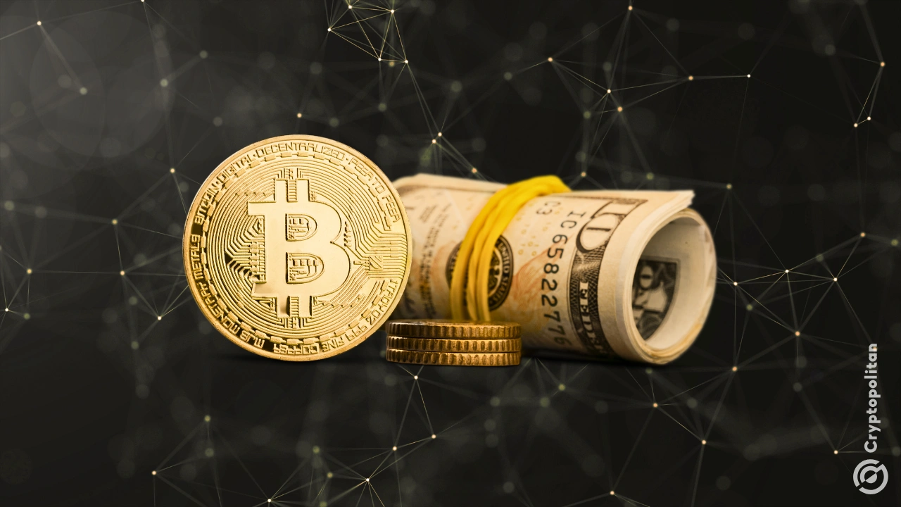 伯切特和特朗普就加密交易保密性达成共识,将其视同现金交易
