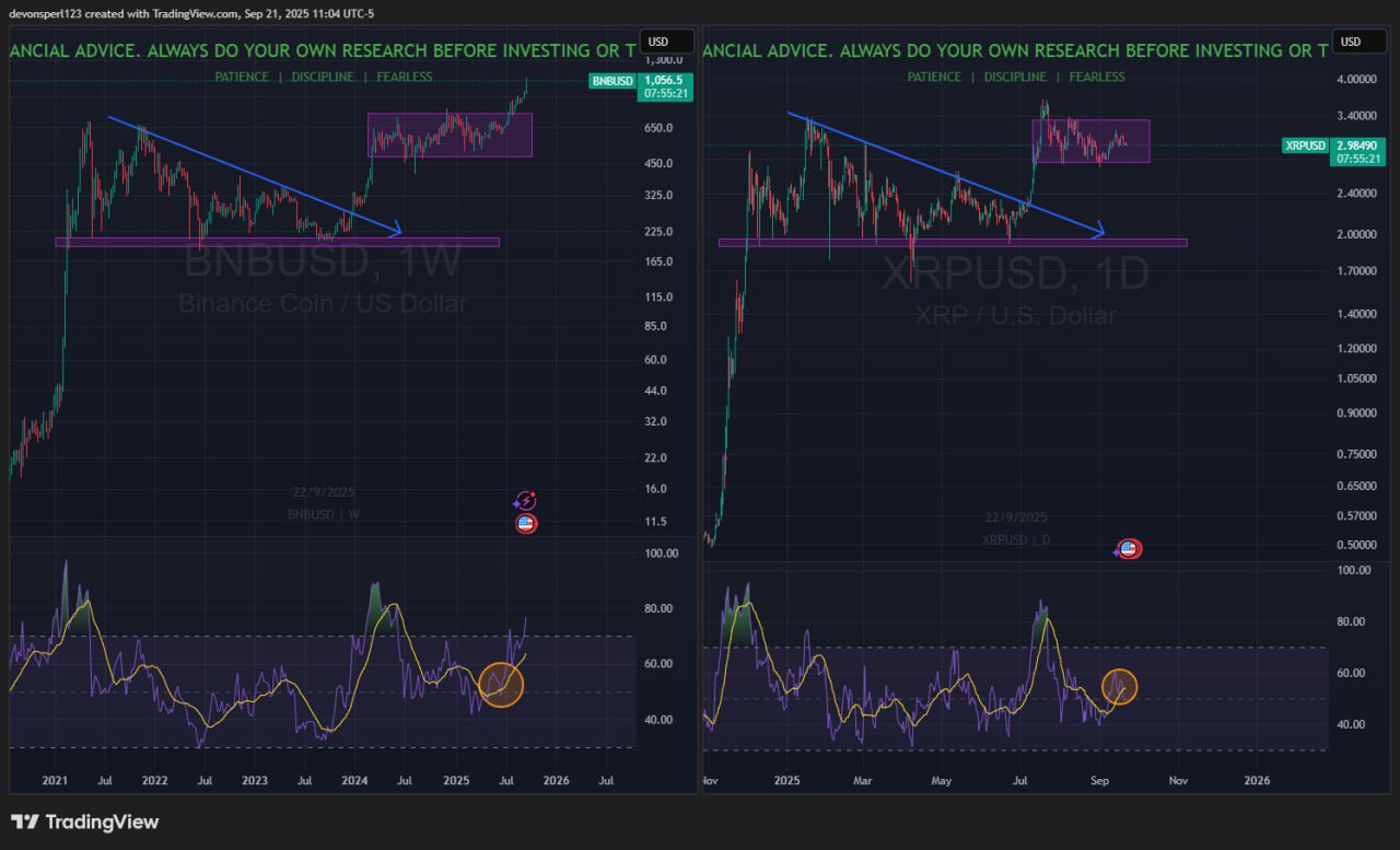 If XRP Mimics BNB and Surpasses /uploadfile/coin/2025/0922/1sa8a3dccc8a6d806ccaaa.jpg,000, How High Could its Increase Be?