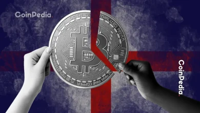 美国联邦法院裁定 Bored Ape Yacht Club NFT 和 ApeCoin 不构成证券
