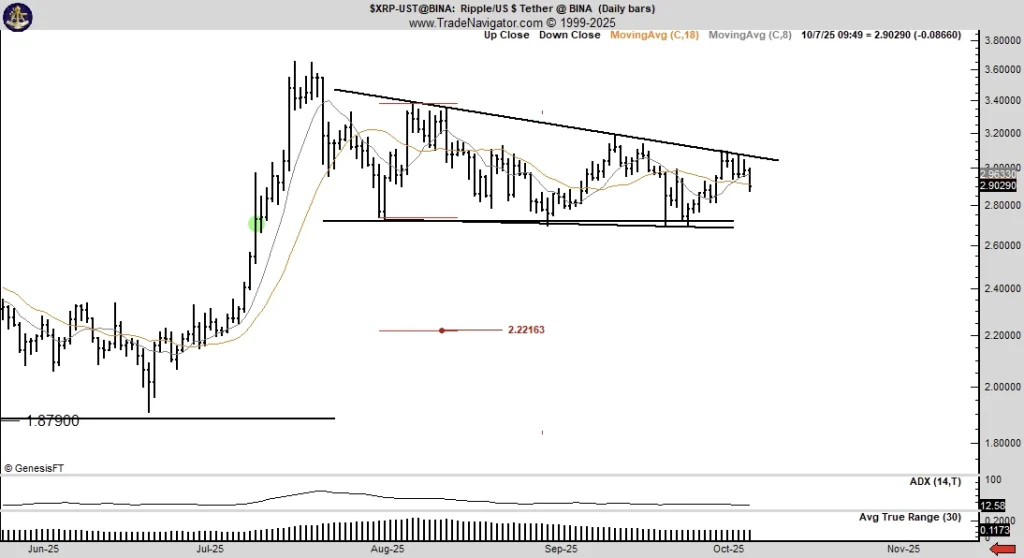 XRP 价格可能迎来下跌;Peter Brandt 担忧交易员情绪不稳