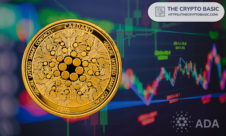Dan Gambardello Shares Cardano\