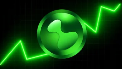 Hyperliquid (HYPE)的未来走势展望：创新高在即还是见顶回落？