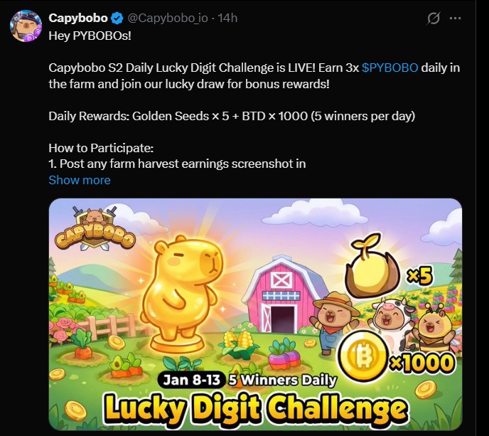 Capybobo Token Daily Lucky Number Challenge Season 2 Coming Soon